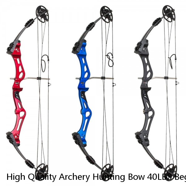 High Quality Archery Hunting Bow 40LBS Beginner Practice Shooting Takedown Metal Recurve Bow